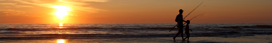 Fishing for More than Job Descriptions