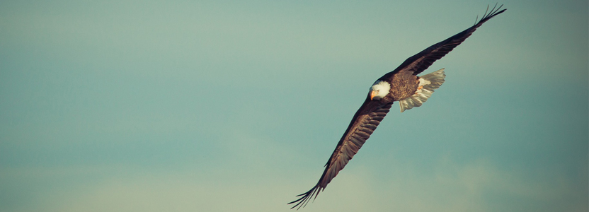 Embrace Your Natural Leadership Strengths, on Skip Prichard’s Leadership Insights Blog