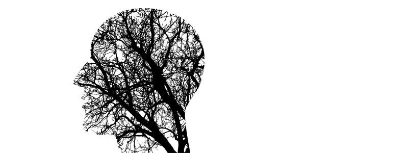 Graphic profile of black-and-white branches in a head, to reflect tools for how to build your brain