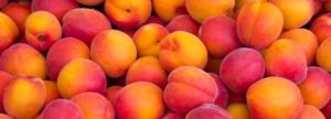 Patience in leadership represented by a pile of peaches ripening before being eaten-2